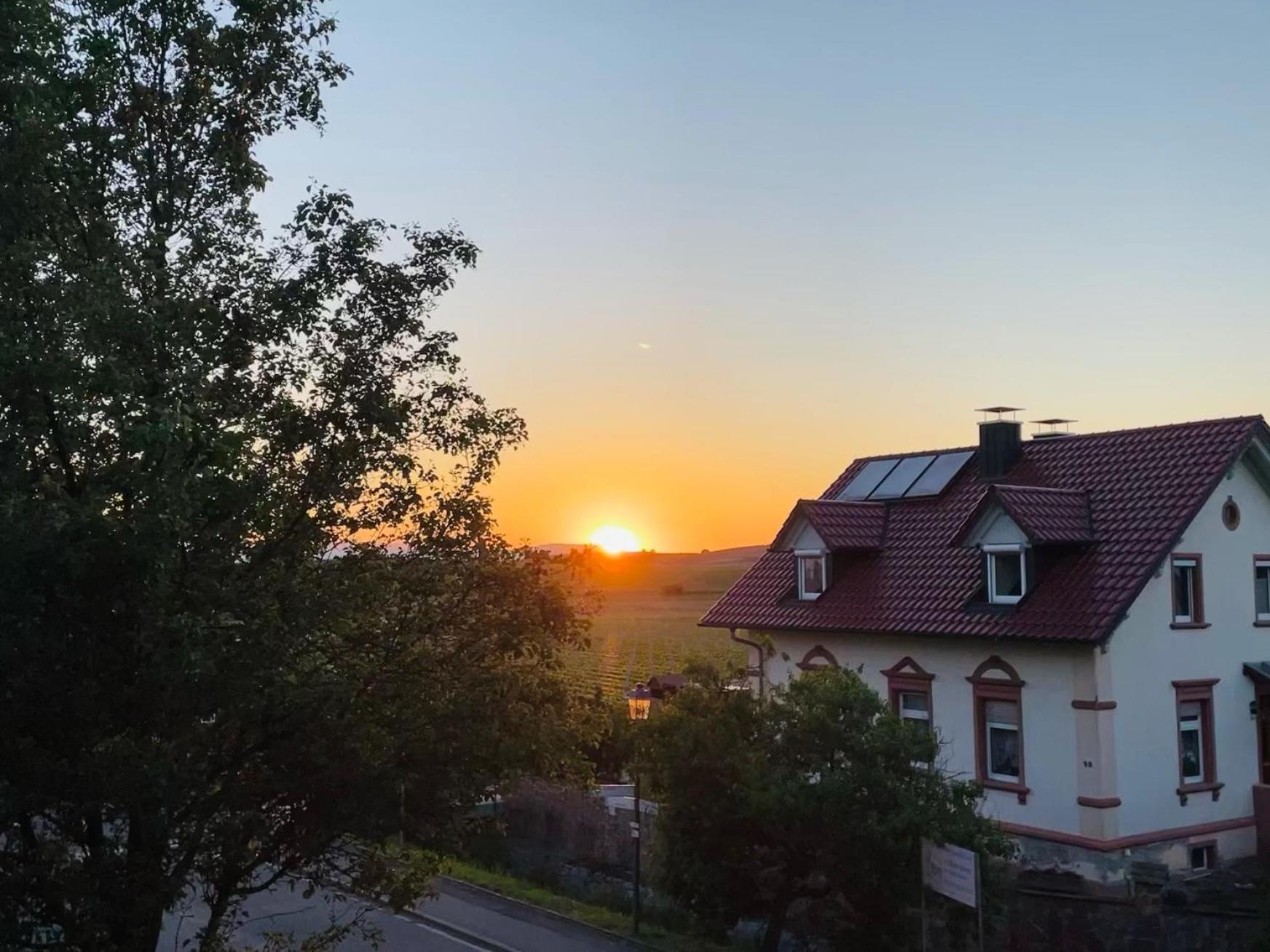 Lp Haus Der Guten Dinge Vogtsburg Exterior foto